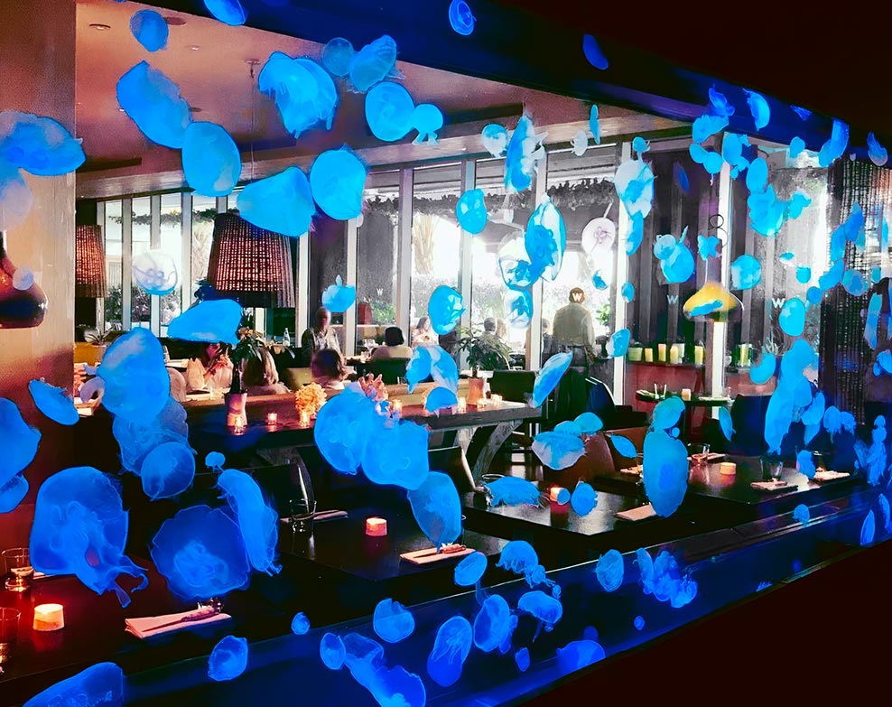 401 N Fort Lauderdale Beach Blvd,
Fort Lauderdale